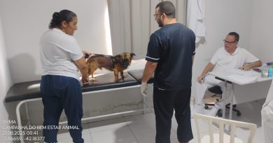 CAMPANHA DE CASTRAÇÃO DE CÃES MACHOS É REALIZADA NO MUNICÍPIO