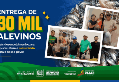 PREFEITURA REALIZA ENTREGA DE 30 MIL ALEVINOS E FORTALECE A PISCICULTURA NO MUNICÍPIO