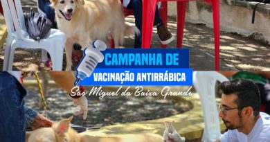 DIA D DA VACINAÇÃO ANTIRRÁBICA REFORÇA A PROTEÇÃO DE CÃES E GATOS