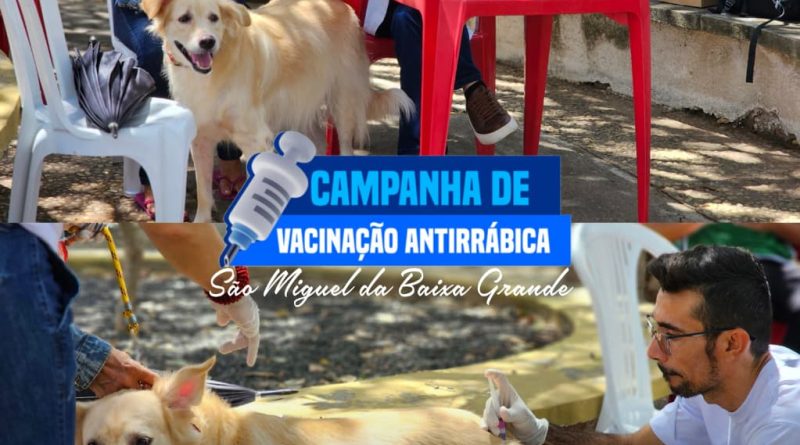 DIA D DA VACINAÇÃO ANTIRRÁBICA REFORÇA A PROTEÇÃO DE CÃES E GATOS